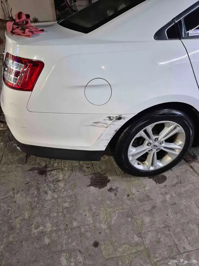 تورس 2019 1