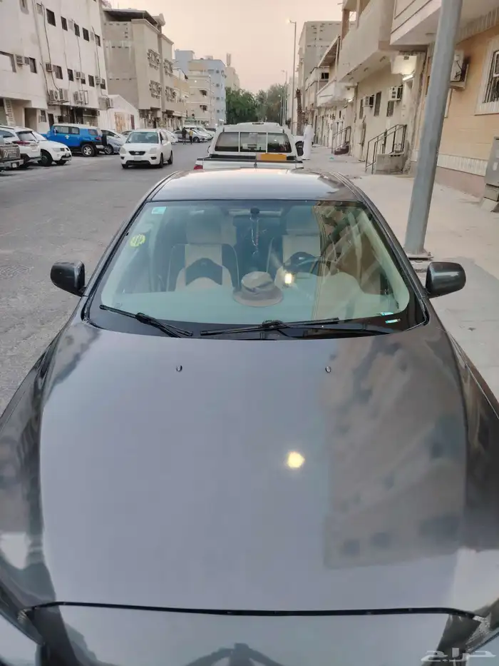 لنسر قرش 2008 0