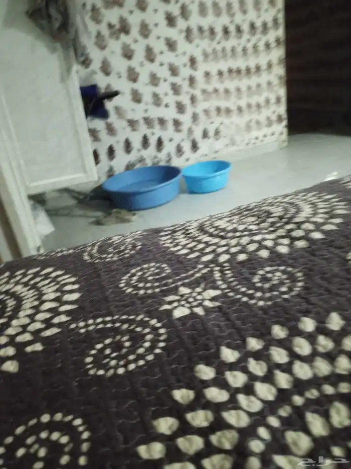 سراير حديد بالمراتب 5