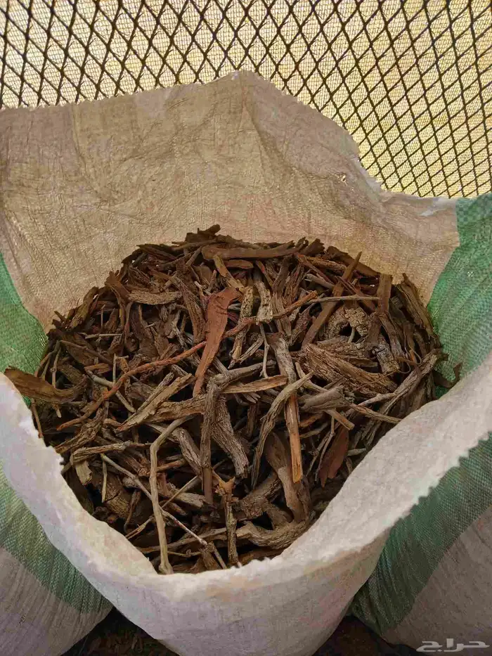 شرط مرصوص ا ر ط ى 2