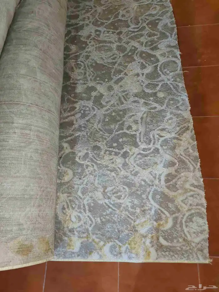 موكيت فرشات فرشه 100 متر 1