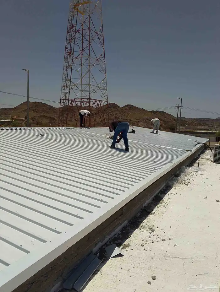 سندوتش بنل 1