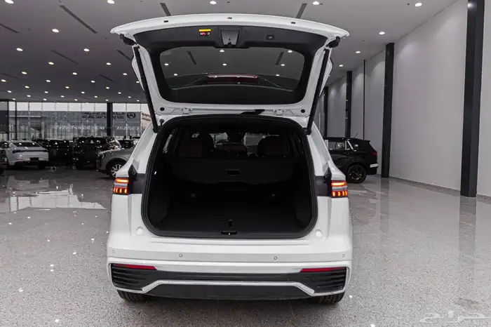 جيلي مونجارو 2024 نص فل AWD   تيربو235 حصان ب 93150 بالضريبة 8