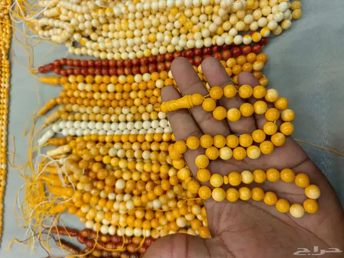 سبح تراب الكهرب البولندي الفواح 1