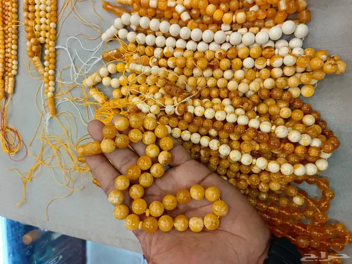 سبح تراب الكهرب البولندي الفواح 5