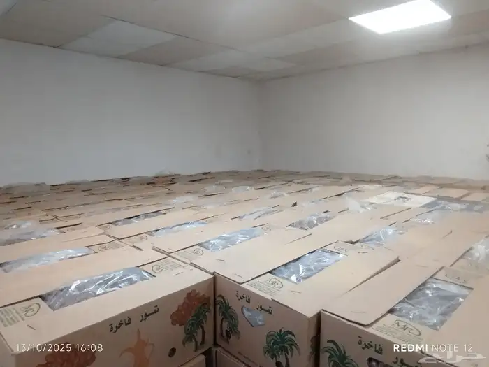 خلاص العدد430 2