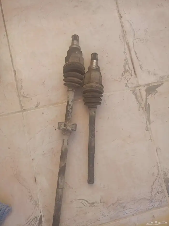 عكوس جيلي باندا 0