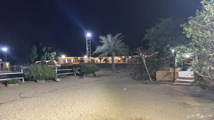 ايجار ايواء. تعليم للخيوال 2