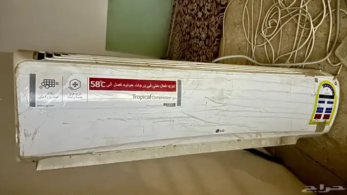 الطائف 1