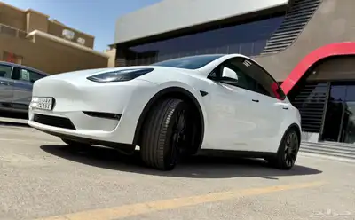 تسلا 2024 موديل Y Performance index