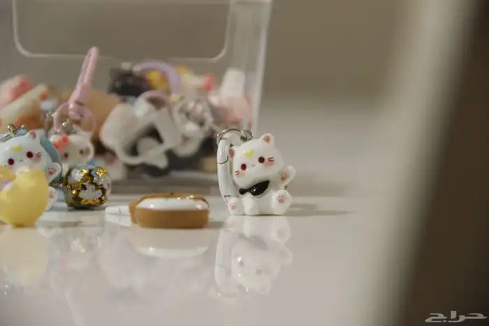 مصورة جوال 53