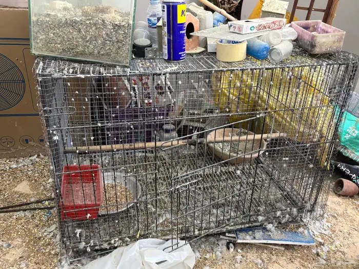 اقفاص وبيضات لي البيع كامل 0