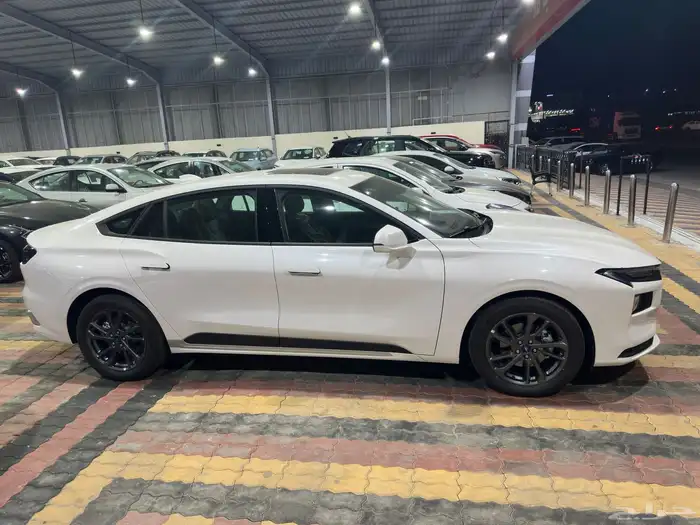 فورد تورس امبيانتي استندر 2026 ابيض اسود الناغي 4