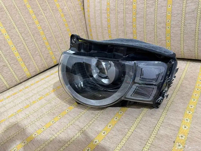اصطبات دفندر للبيع 0