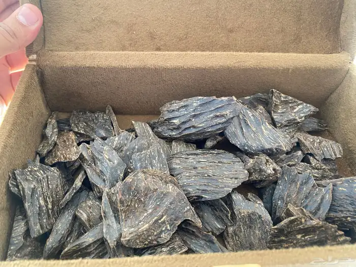 عود كلمنتان طيب ربع كيلو و دهن عود براشين 1