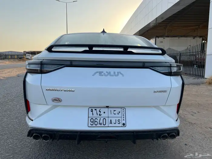 للبيع دونج فينج شاين 2025 9