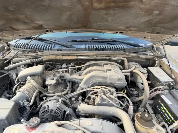 فورد - ماونتنير 8