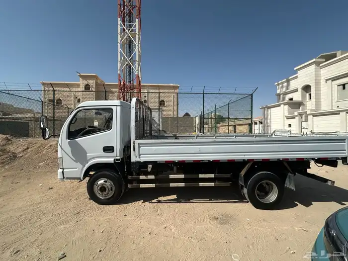 دينا دونج فينج 2021 3