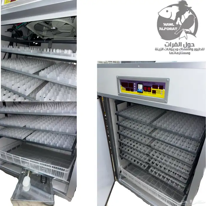 فقسات بيض فقاسة 3