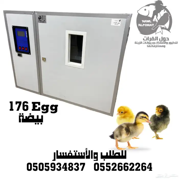 فقسات بيض فقاسة 10