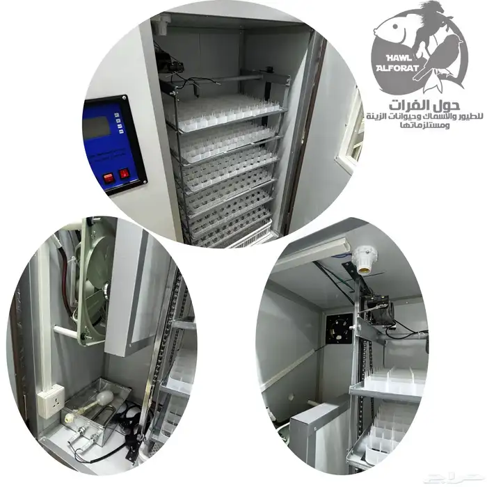 فقسات بيض فقاسة 7