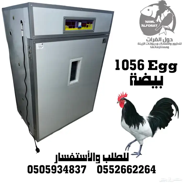 فقسات بيض فقاسة 2