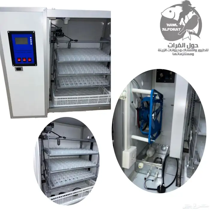 فقسات بيض فقاسة 9