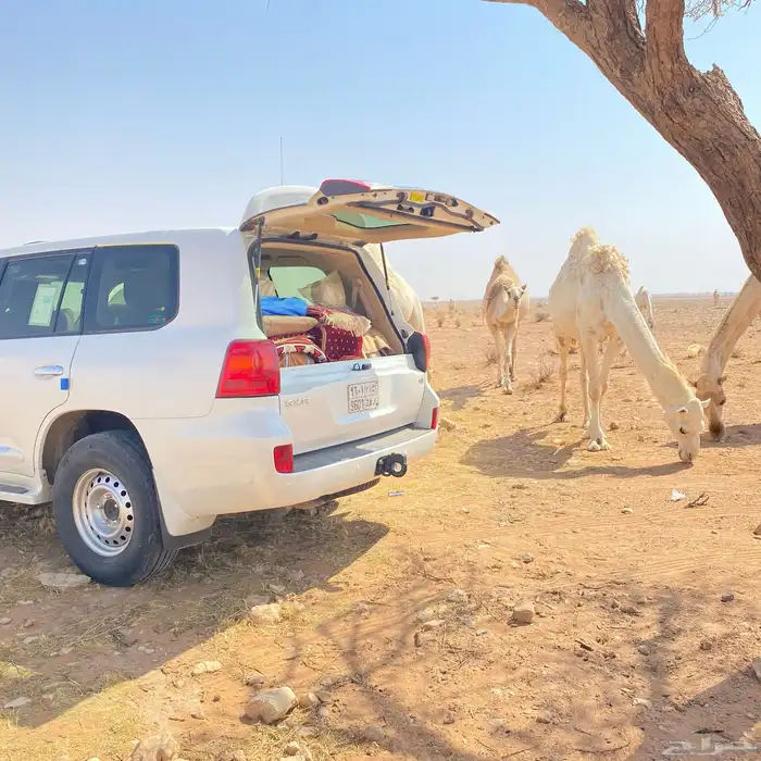 للبيع كفرات شاهين 17 تايلندي مع جنوط صيني 12