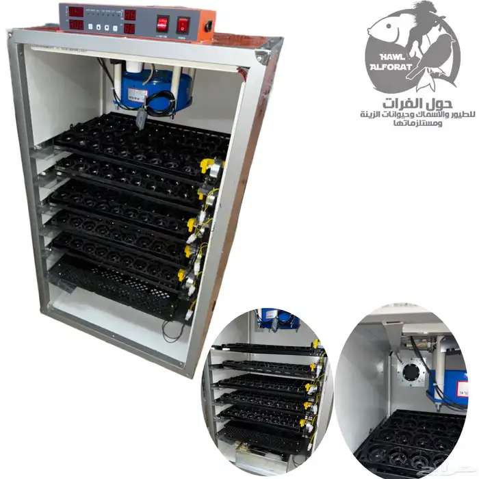 فقسات بيض فقاسة 14