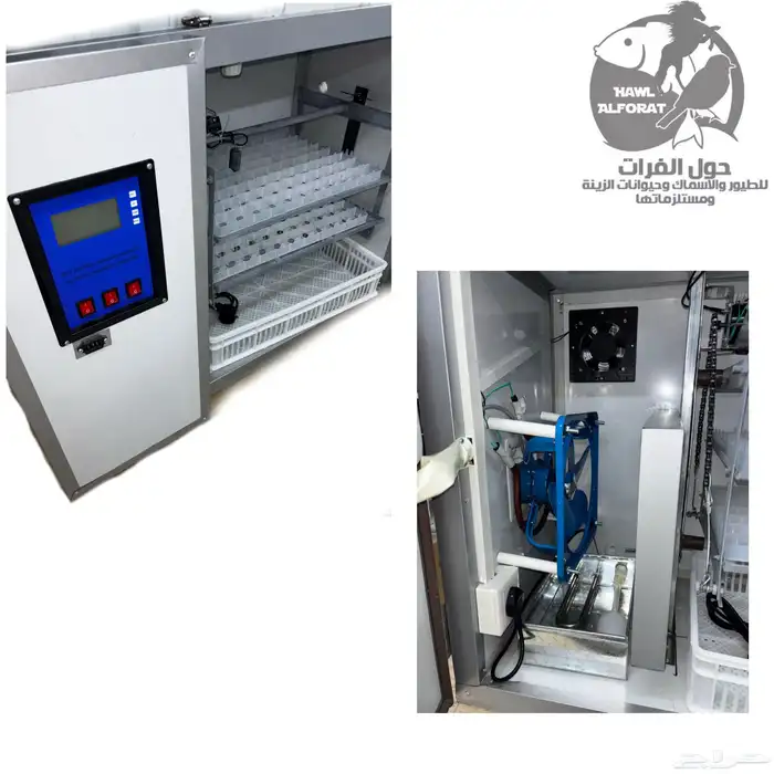 فقسات بيض فقاسة 11