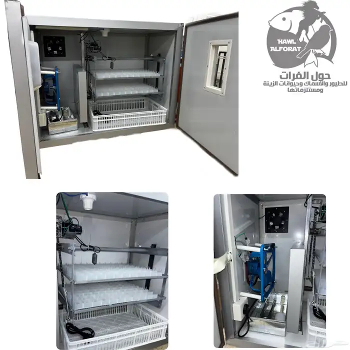 فقسات بيض فقاسة 12