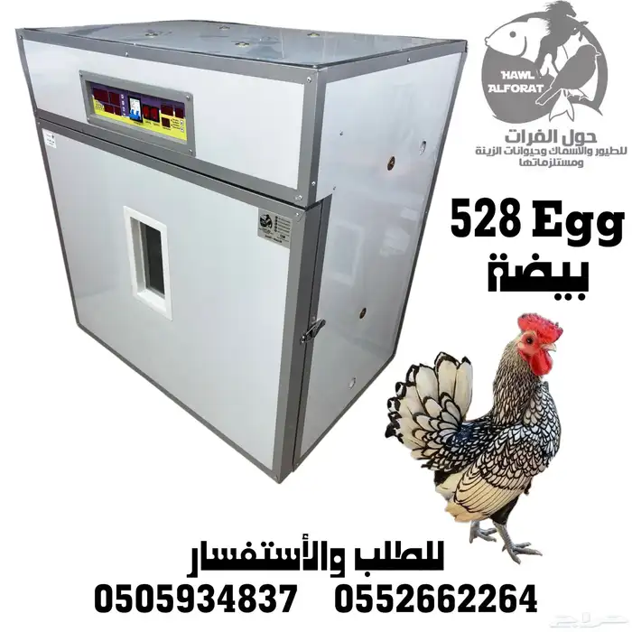 فقسات بيض فقاسة 0