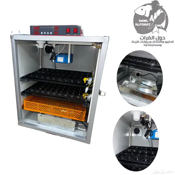 فقسات بيض فقاسة 16