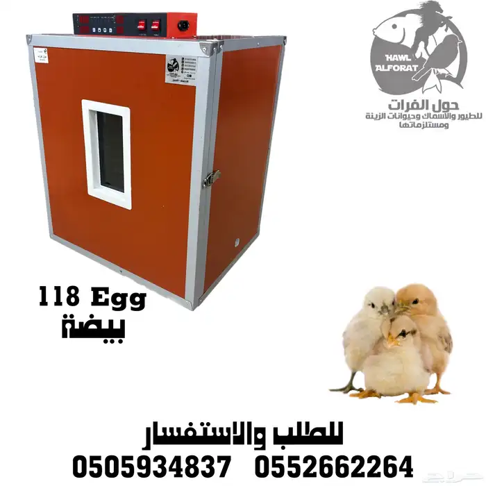 فقسات بيض فقاسة 15