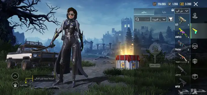 حساب ببجي 17