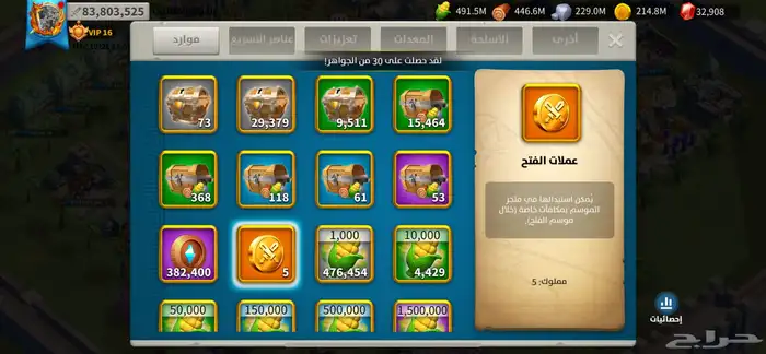 حساب Rise Of Kingdom 16