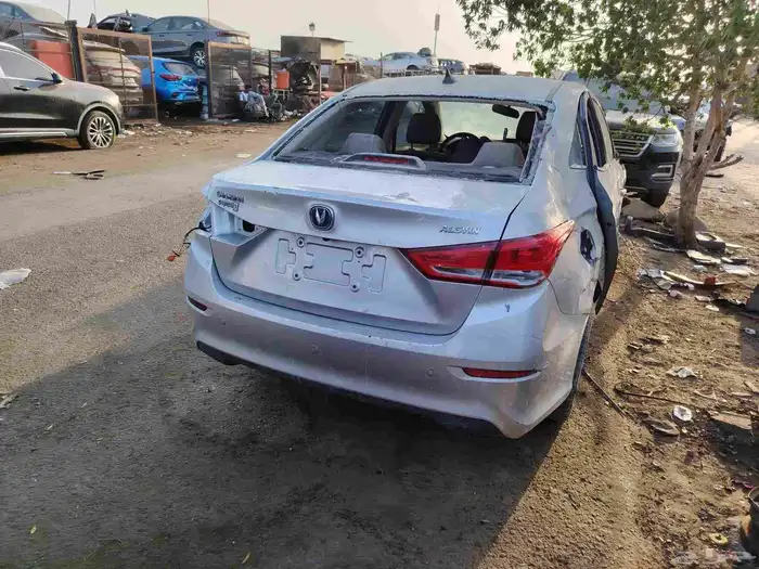 شنجان السفن 2022 0