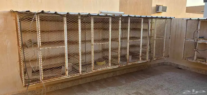 محاكر حديد 1