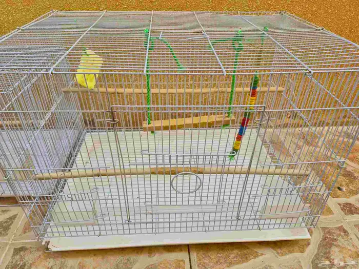 اقفاص طيور 1