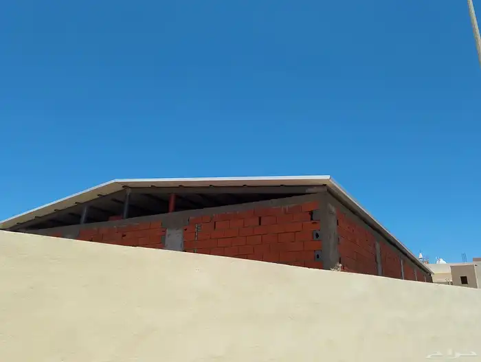 سندوتش بنل 3