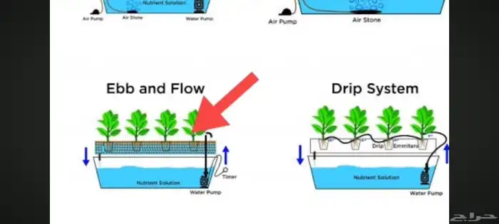 شركة ركن الفلاحة التجارية لجميع خدمات الزراعة المائية 12