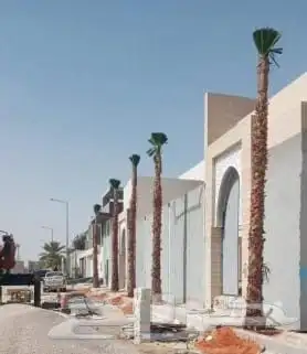 نخيل_ _وشنطن_زينه 9