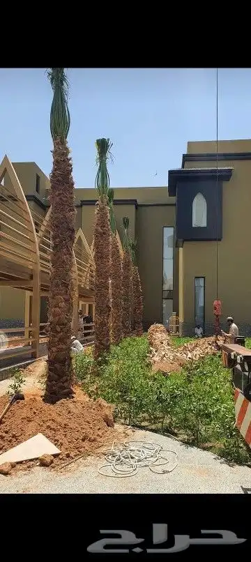 ابو احمد لتوريد انخيل 3