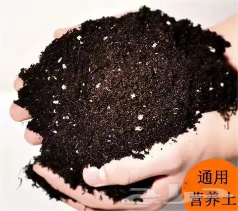 سماد عضوي بتموس بيرلايت تربه زراعيه فيتامينات زراعيه 2