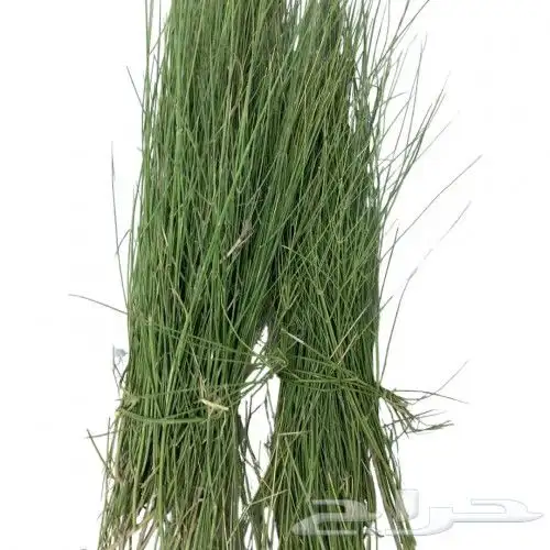 مرخ طازه وعل الطلب 1