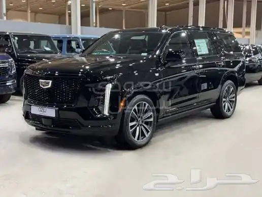 سيارات فاخر وأسعار مغرية واستقبال في المطار روز وكدلك 1