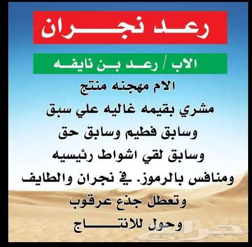 مهجنه تحتها قعود مفرود 0