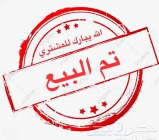 جوز باكستاني تيدي اساس 0