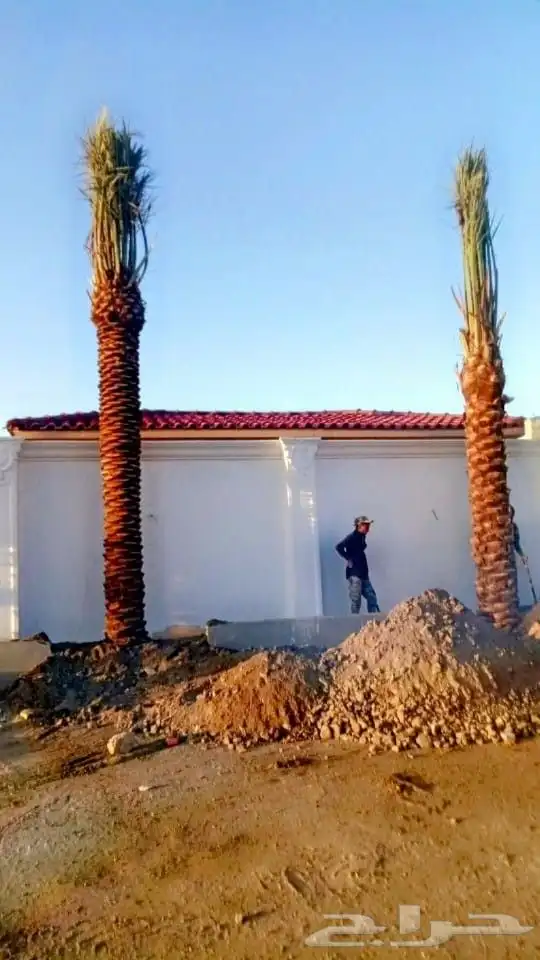 ابو ناصر لتوريد وتركيب جميع انواع انخل المثمر وزينه 7