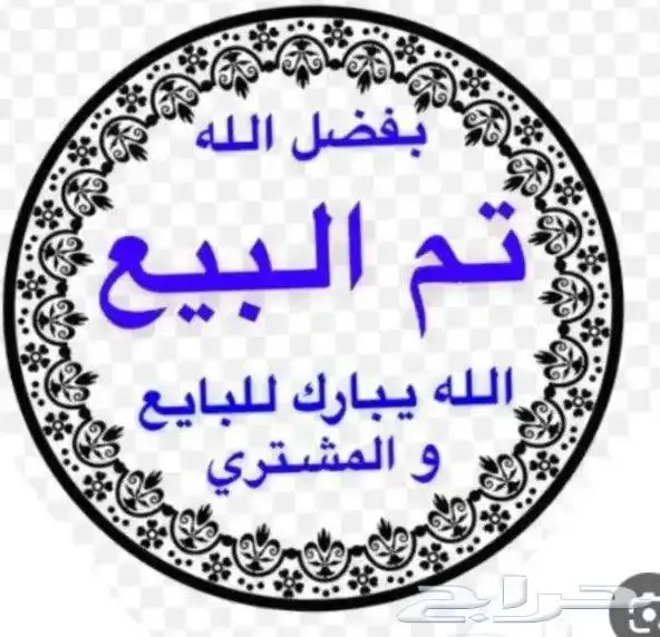 امازوني ببغاء اليف متكلم 0